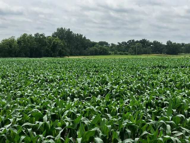 $1,531,059 | 0 Garden Prairie Road, Garden Prairie, IL 61038