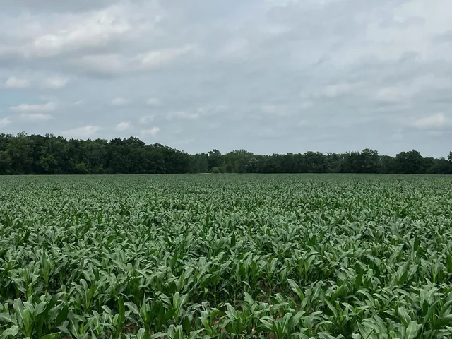 $1,531,059 | 0 Garden Prairie Road, Garden Prairie, IL 61038