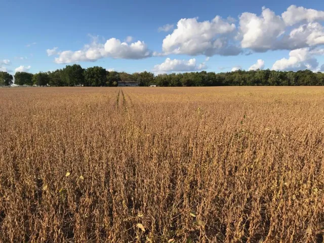 $1,531,059 | 0 Garden Prairie Road, Garden Prairie, IL 61038