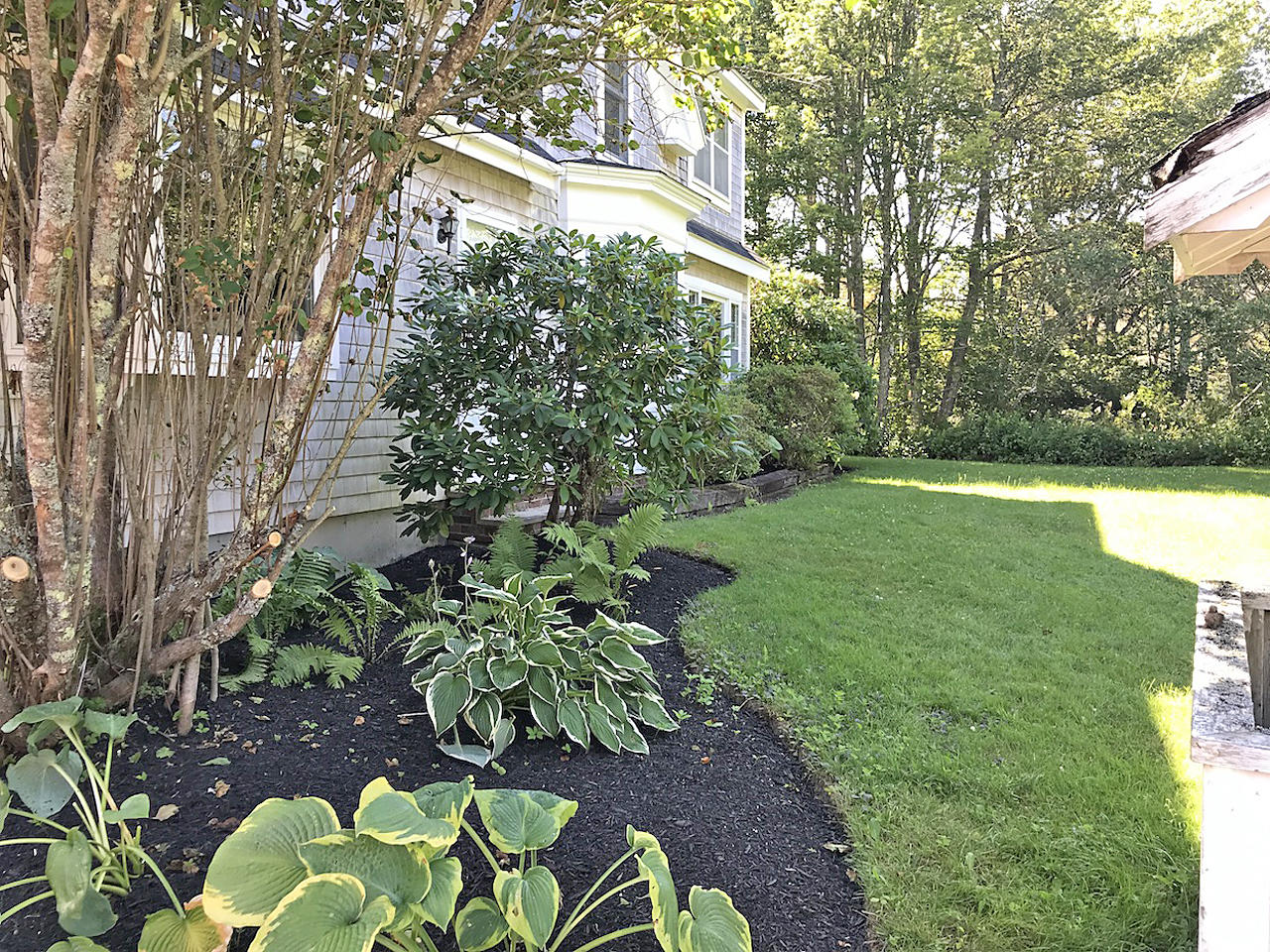 190 Snowball Hill Road New Harbor, ME 04554 - Photo 19 of 21 Exterior Plantings
