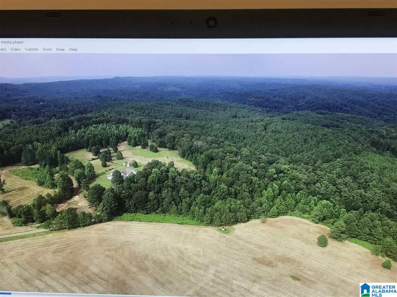 626 Smith Road Oneonta, AL 35121 - Photo 7 of 47