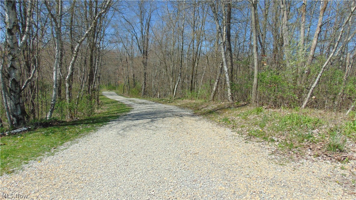 73881 Henderson Ridge Road St. Clairsville, OH 43950 - Photo 24 of 38 View of the well maintained gravel driveway.