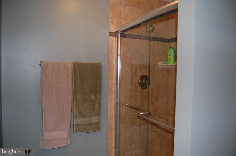 15135 Callohan Court Silver Spring, MD 20906 - Photo 11 of 27 Bath (Master)