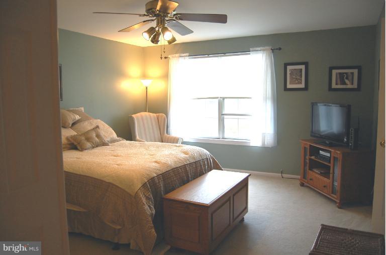 15135 Callohan Court Silver Spring, MD 20906 - Photo 18 of 27 Bedroom (Master)