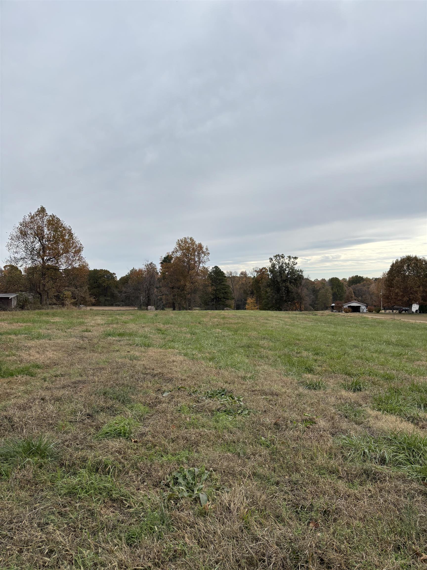 1131 Hobe Webb Road Ripley, TN 38063 - Photo 25 of 27 a view of lake with mountain