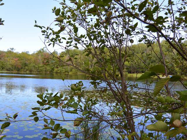 Lot 27 Trails End Road Land O'Lakes, WI 54540 - Photo 2 of 13 Gallery Image 2