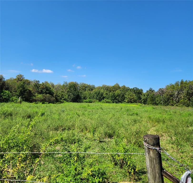 0 Vernon Dairy Road Spring Hill, FL 34610 - Photo 1 of 1