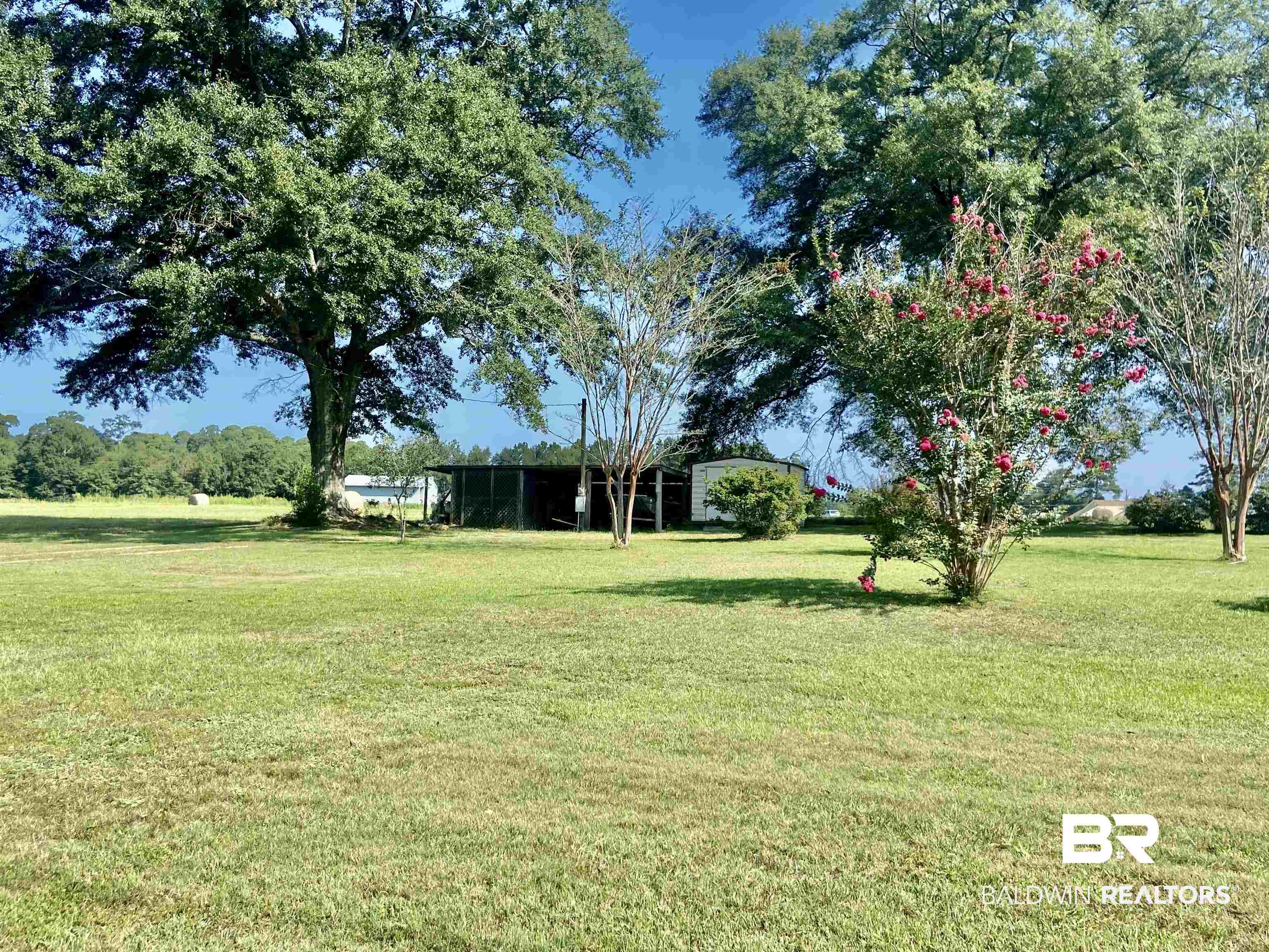 531 Highway 136 Monroeville, AL 36460 - Photo 46 of 48