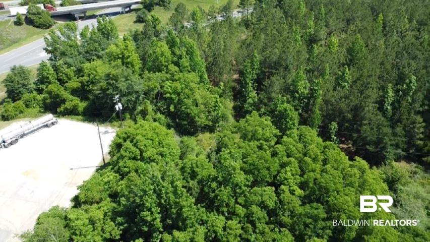 21 Highway 21 Atmore, AL 36502 - Photo 8 of 20