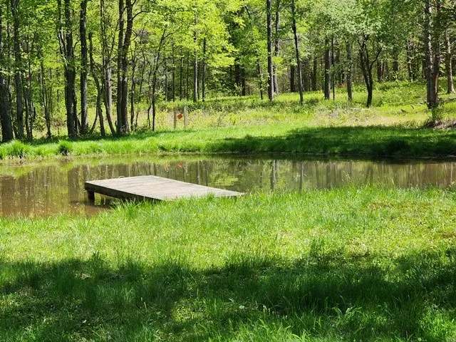 $225,000 | 2564 Moore Hill Road, Emporium, PA 15834