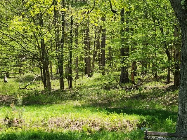 $225,000 | 2564 Moore Hill Road, Emporium, PA 15834