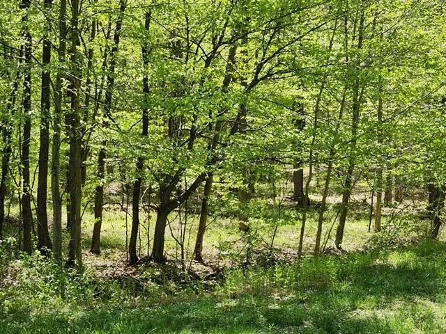 $225,000 | 2564 Moore Hill Road, Emporium, PA 15834