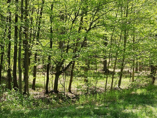 2564 Moore Hill Road Emporium, PA 15834 - Photo 14 of 28