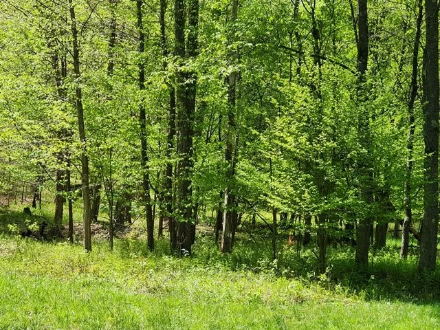 $225,000 | 2564 Moore Hill Road, Emporium, PA 15834