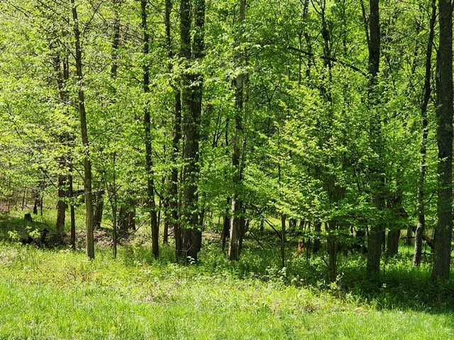 2564 Moore Hill Road Emporium, PA 15834 - Photo 15 of 28