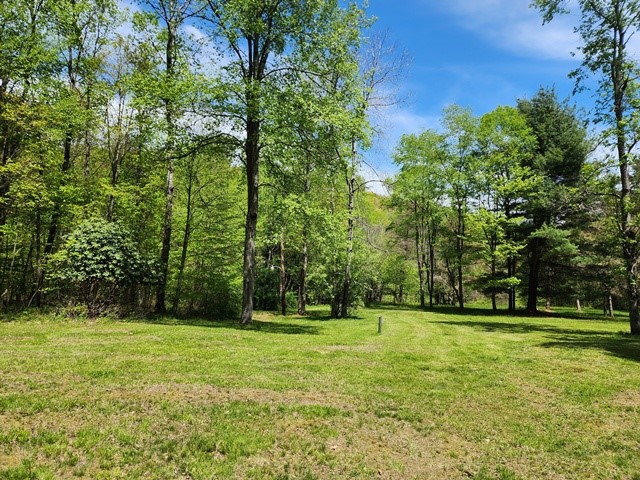 2564 Moore Hill Road Emporium, PA 15834 - Photo 17 of 28