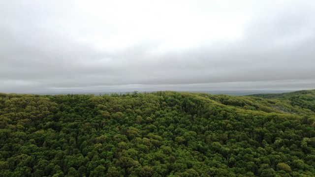 2564 Moore Hill Road Emporium, PA 15834 - Photo 2 of 28