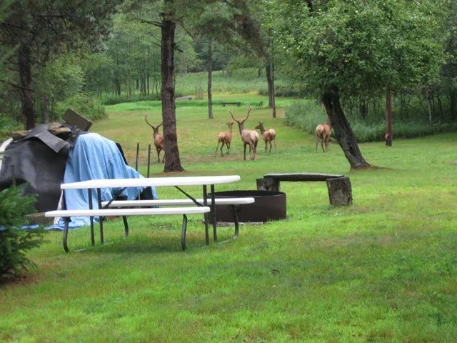 $225,000 | 2564 Moore Hill Road, Emporium, PA 15834