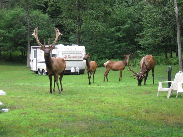 2564 Moore Hill Road Emporium, PA 15834 - Photo 27 of 28