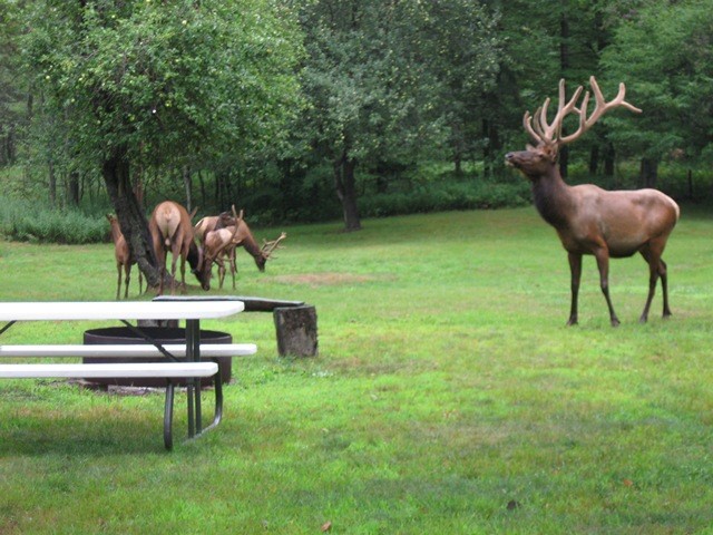 2564 Moore Hill Road Emporium, PA 15834 - Photo 28 of 28