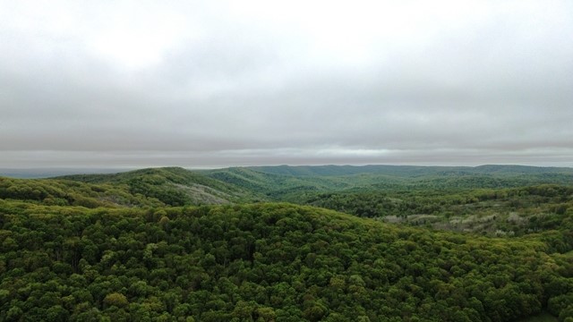 2564 Moore Hill Road Emporium, PA 15834 - Photo 3 of 28