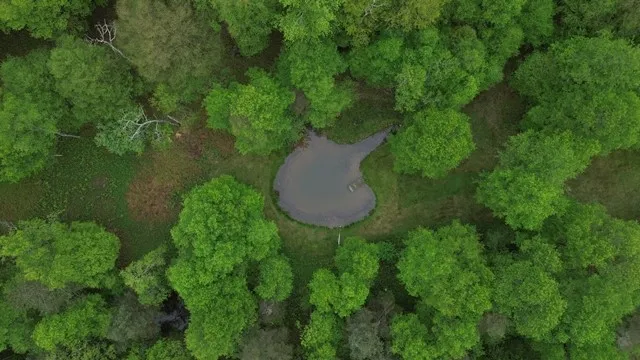 $225,000 | 2564 Moore Hill Road, Emporium, PA 15834