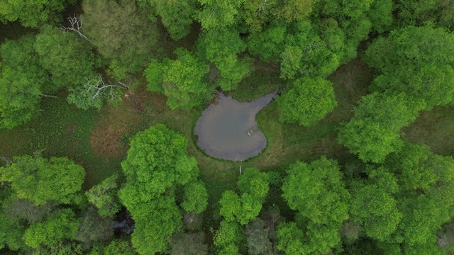 2564 Moore Hill Road Emporium, PA 15834 - Photo 4 of 28