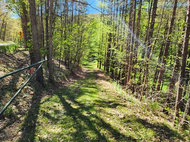 2564 Moore Hill Road Emporium, PA 15834 - Photo 7 of 28