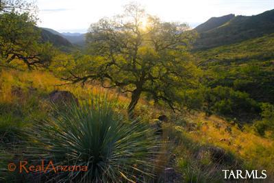 11 Pinnacle Gulch Court Rio Rico, AZ 85648 - Photo 2 of 15 a view of a yard