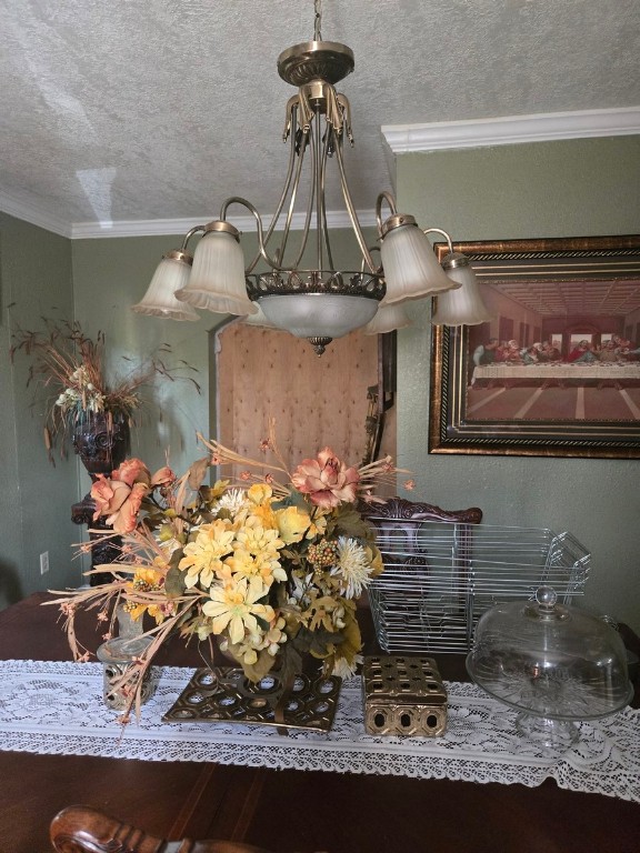 855 Alma Street Beaumont, TX 77705 - Photo 13 of 13