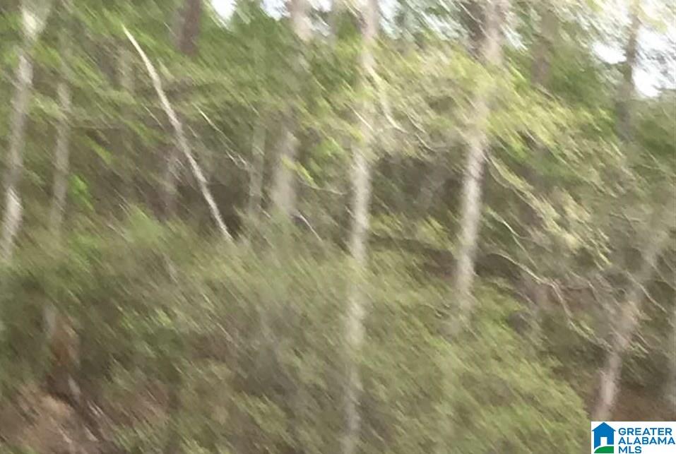 4901 Grist Mill Road, Unit 1 Pinson, AL 35126 - Photo 1 of 1