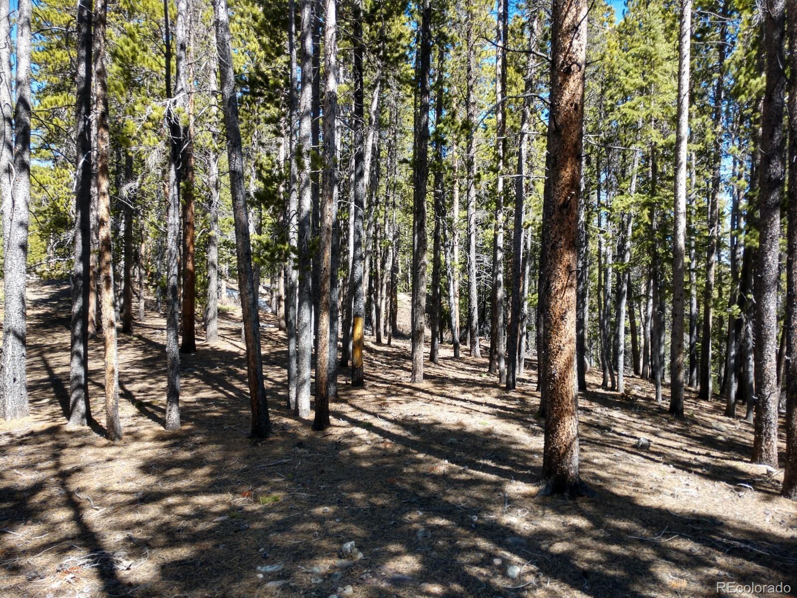 710 Kootchie Kootchie Road Alma, CO 80420 - Photo 10 of 35 Gallery Image 10