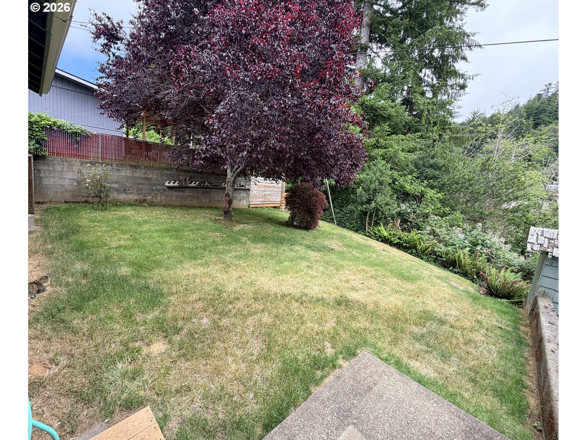 2260 Arthur Drive Reedsport, OR 97467 - Photo 26 of 36 Backyard
