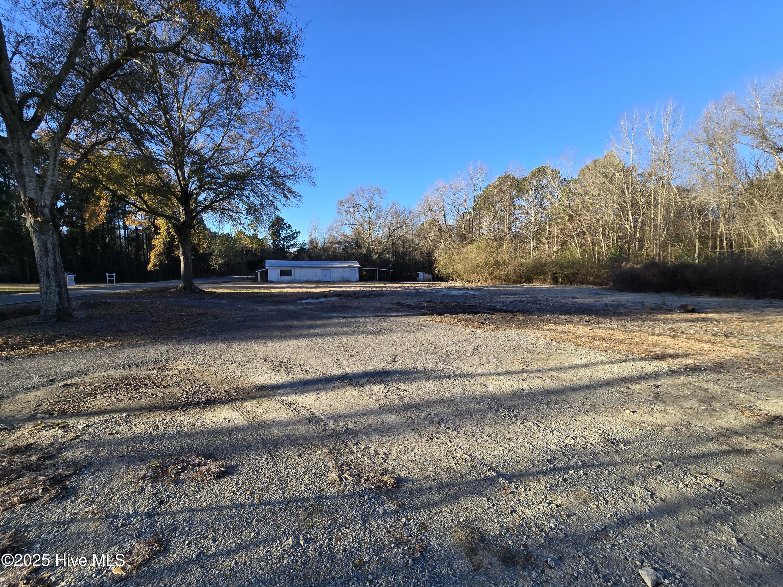 441 Wagon Ford Road Beulaville, NC 28518 - Photo 15 of 22 1000077390