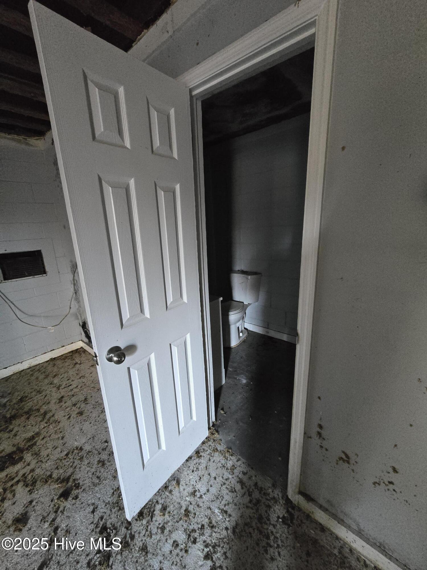 441 Wagon Ford Road Beulaville, NC 28518 - Photo 19 of 22 1000077395