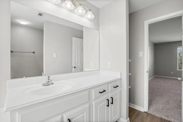 a bathroom with a sink vanity and a mirror