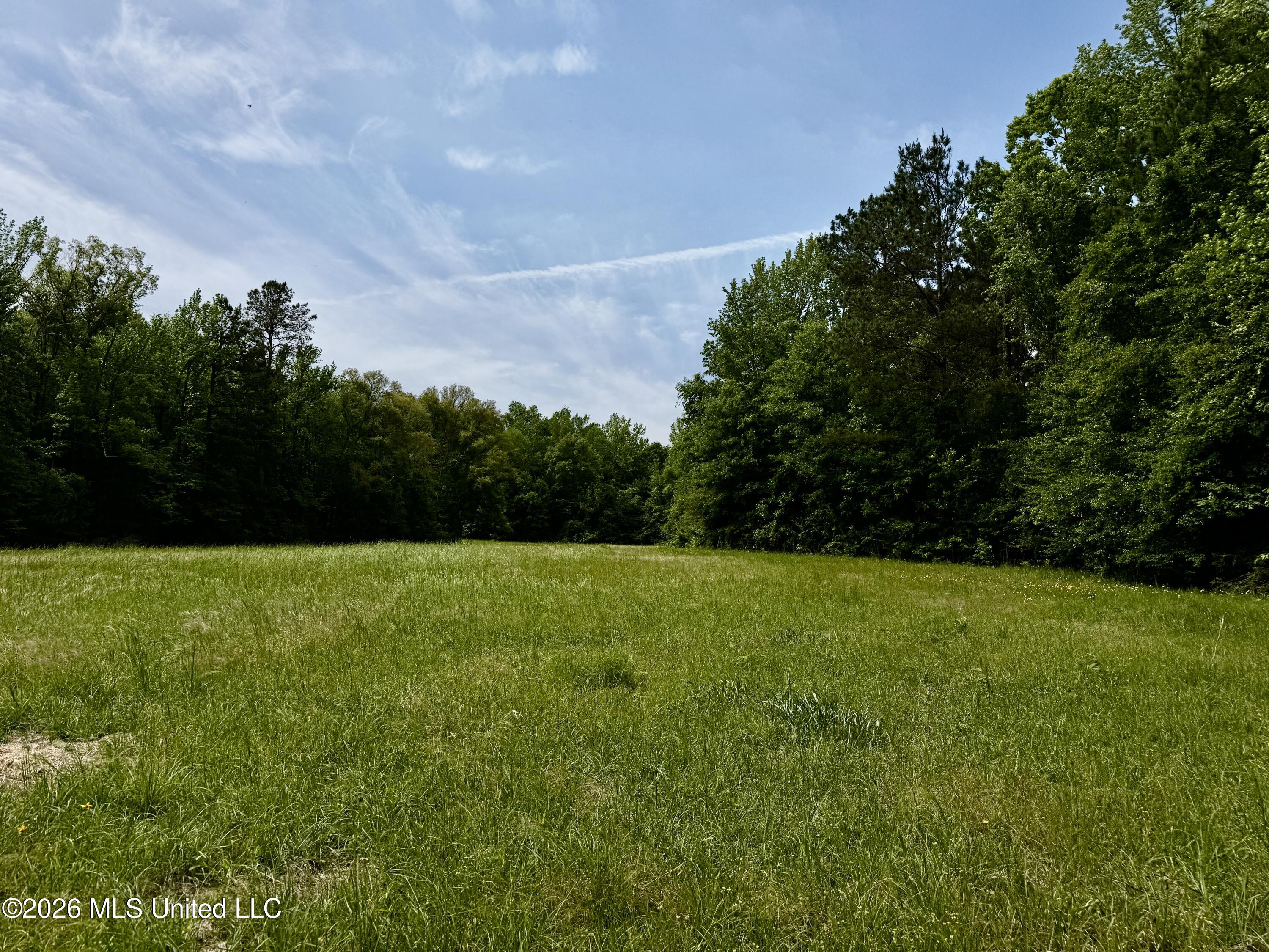 1781 Tom Crum Road Crosby, MS 39633 - Photo 45 of 49 IMG_2589