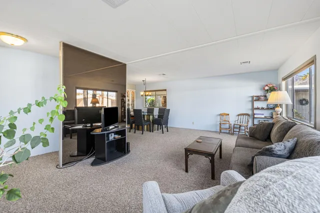 a living room with furniture and view of potted plants