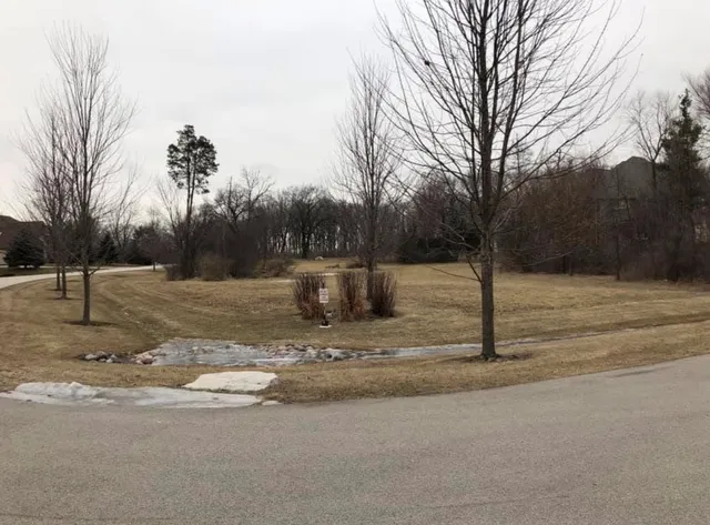 a view of road with trees