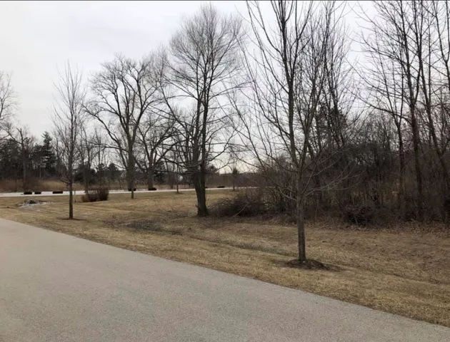 a backyard of a house with trees and swing