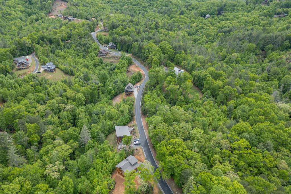 455 Point Overlook Trail Murphy, NC 28906 - Photo 48 of 56