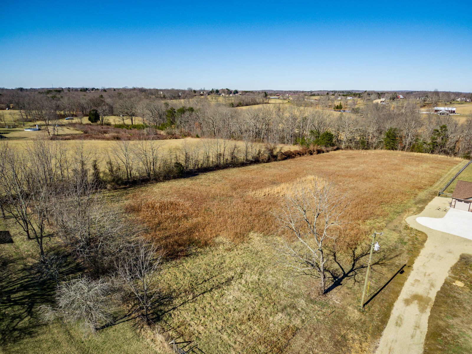 1495 Deep Draw Road Crossville, TN 38555 - Photo 38 of 41 a view of a dry yard with trees in the background