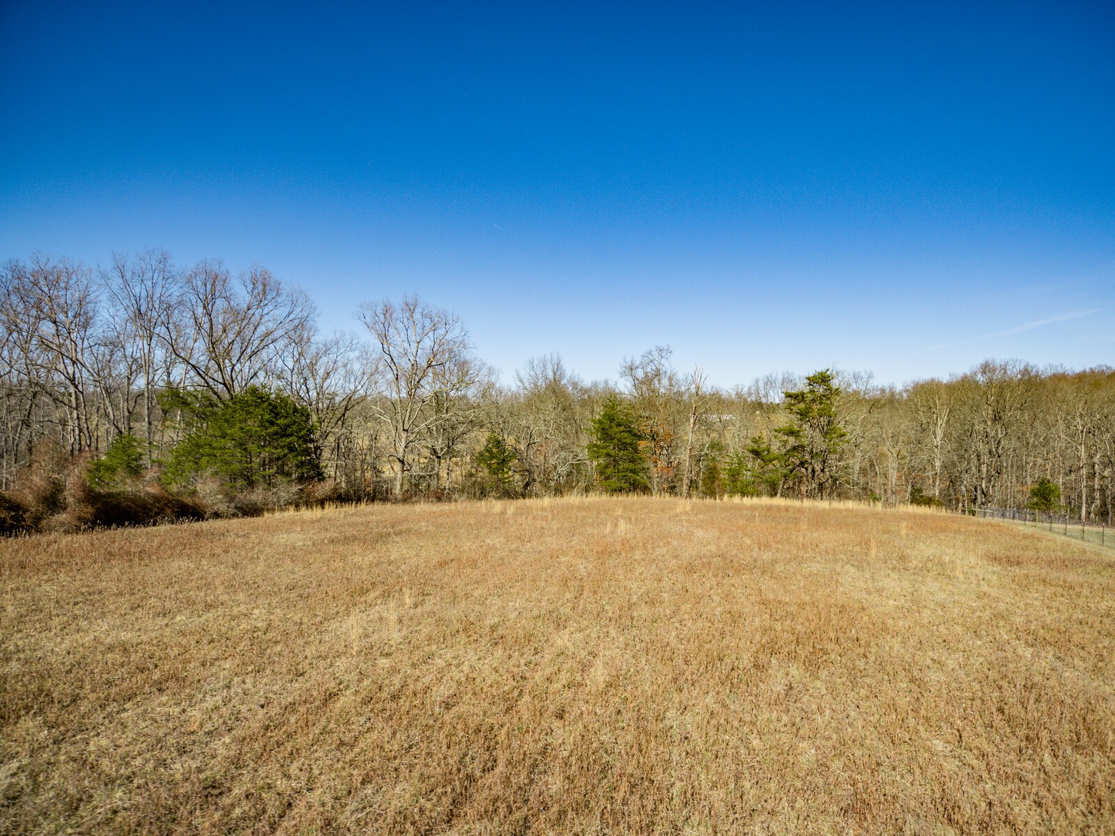 1495 Deep Draw Road Crossville, TN 38555 - Photo 40 of 41 a view of an outdoor space and a yard