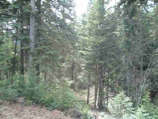 0 Conklin Meadows Road Newport, WA 99156 - Photo 1 of 4 Gallery Image 1