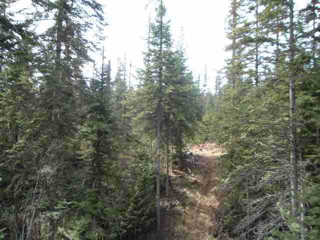 0 Conklin Meadows Road Newport, WA 99156 - Photo 2 of 4 Gallery Image 2
