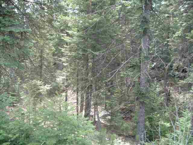 0 Conklin Meadows Road Newport, WA 99156 - Photo 3 of 4 Gallery Image 3