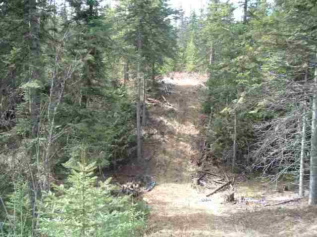 0 Conklin Meadows Road Newport, WA 99156 - Photo 4 of 4 Gallery Image 4