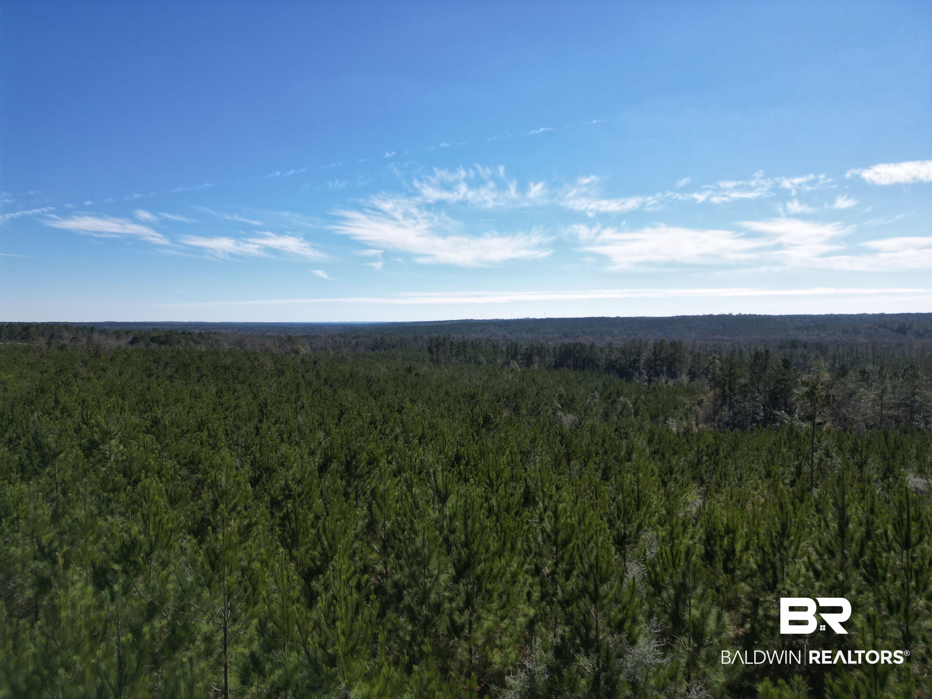 Lot 4 Robinsonville Road Atmore, AL 36502 - Photo 17 of 18