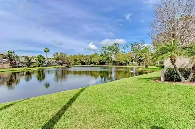 a view of a lake with a yard and large trees
