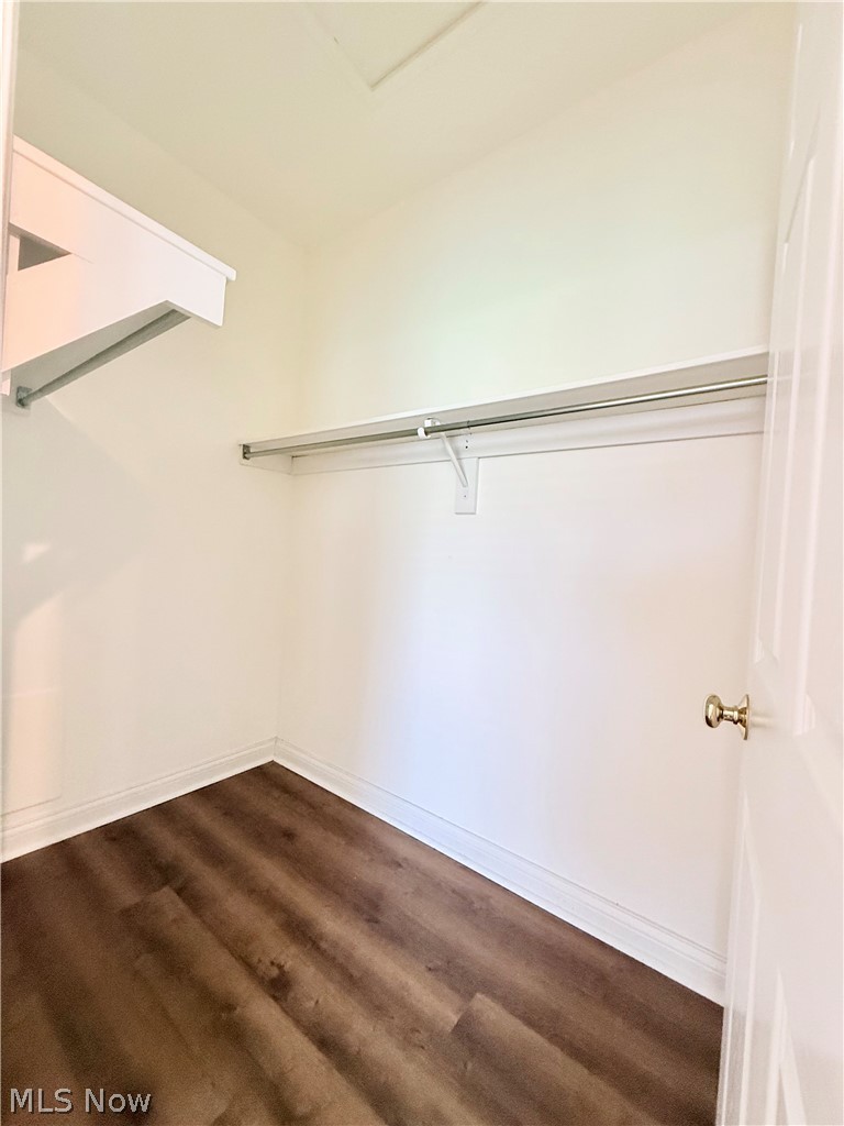 603 South Raccoon Road, Unit 1 Austintown, OH 44515 - Photo 12 of 22 Walk-in closet featuring wood-finish flooring, white walls, built-in shelving, and a hanging rod